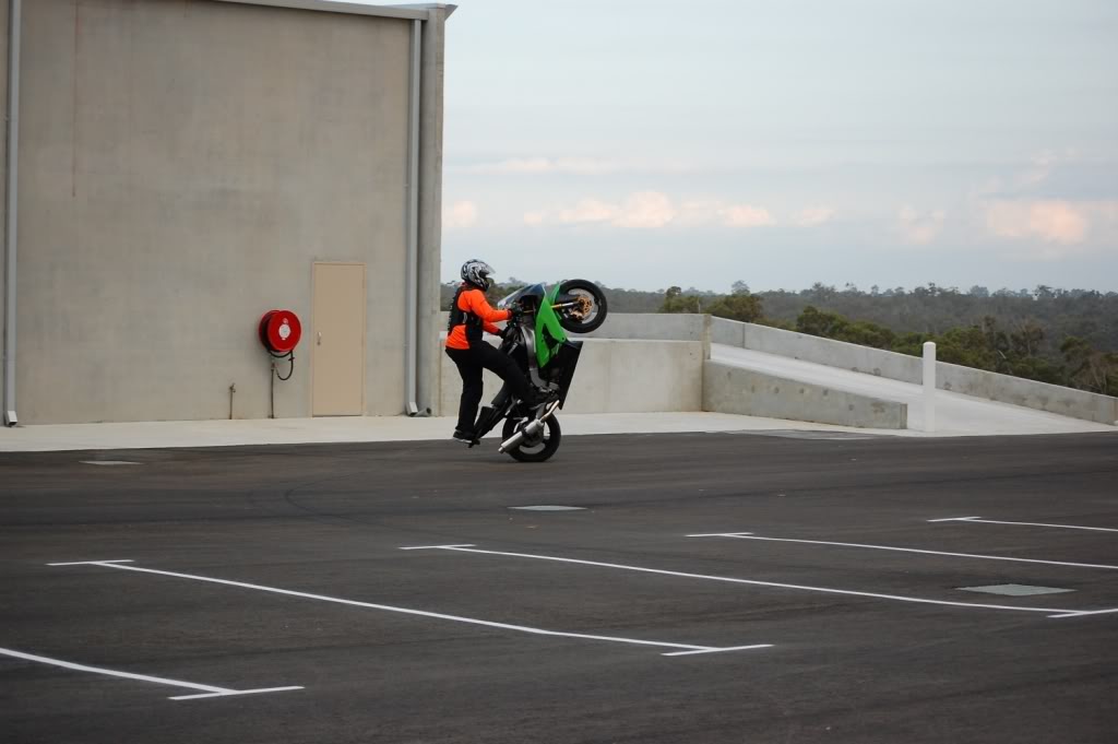 Name:  DSC_0687.jpg
Views: 9
Size:  82.7 KB