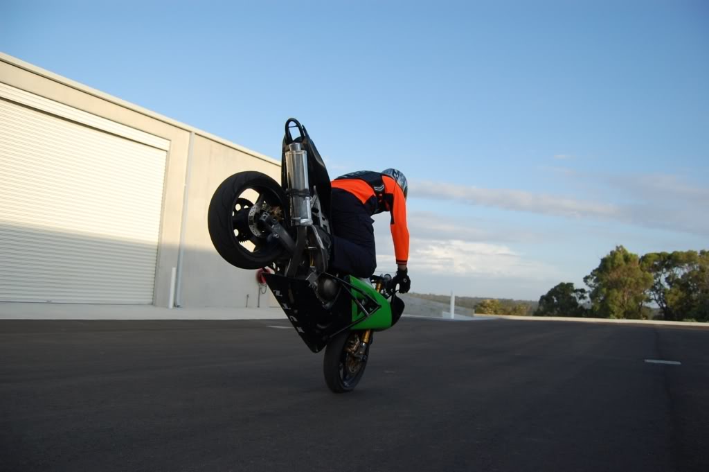 Name:  DSC_0111.jpg
Views: 10
Size:  78.9 KB