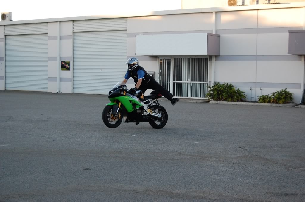 Name:  DSC_0329-1.jpg
Views: 9
Size:  96.6 KB