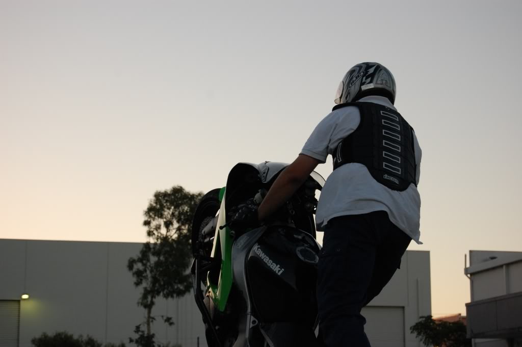 Name:  DSC_0262.jpg
Views: 6
Size:  67.0 KB