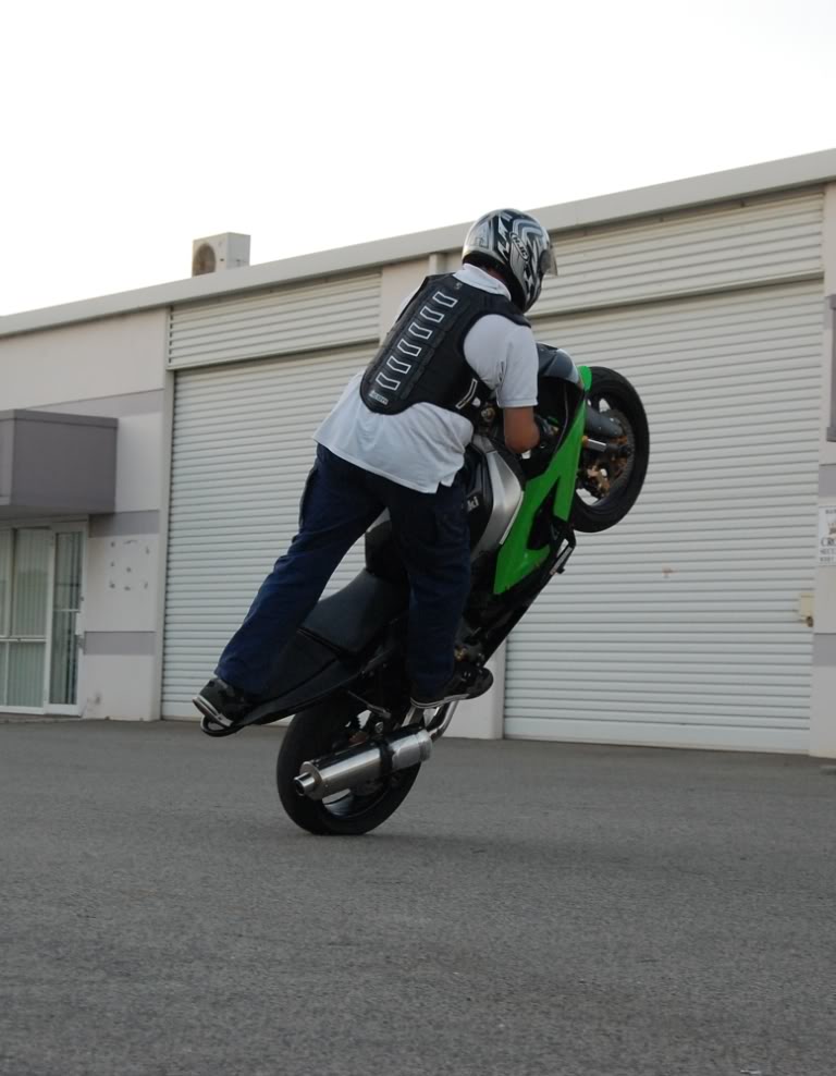 Name:  DSC_0297.jpg
Views: 6
Size:  109.1 KB