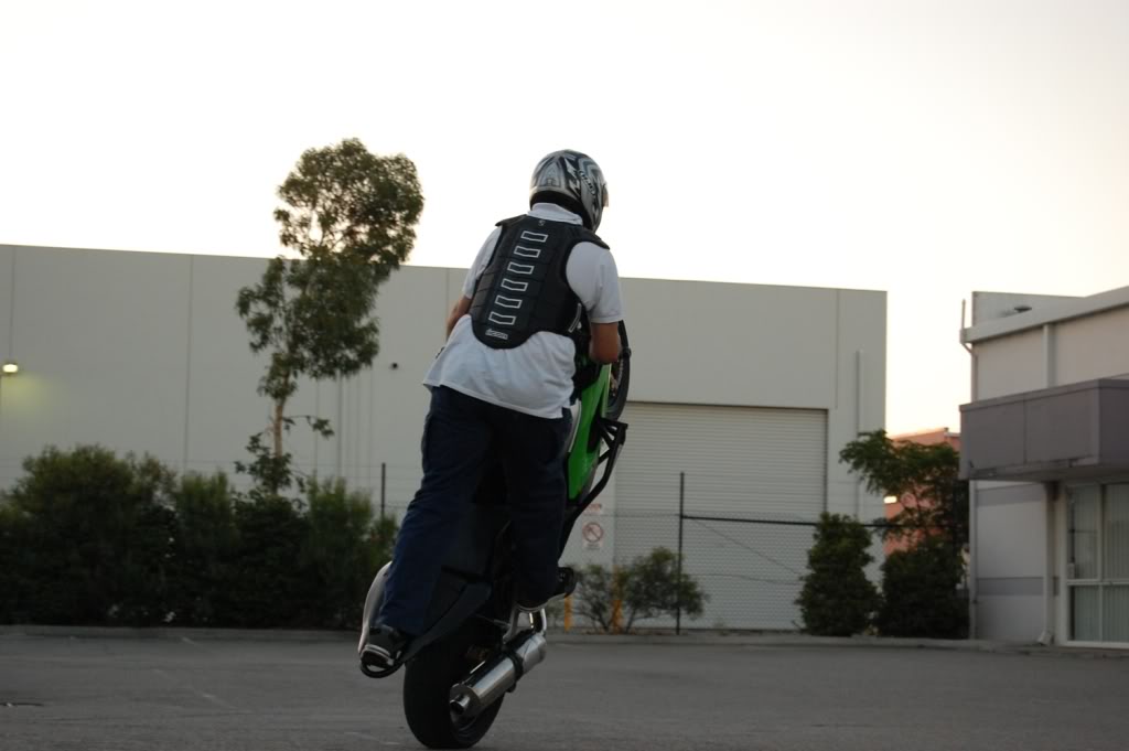 Name:  DSC_0265.jpg
Views: 9
Size:  76.9 KB