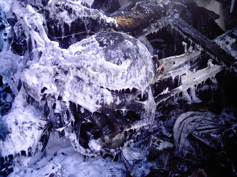 Name:  DCFC0032.jpg
Views: 11
Size:  134.6 KB