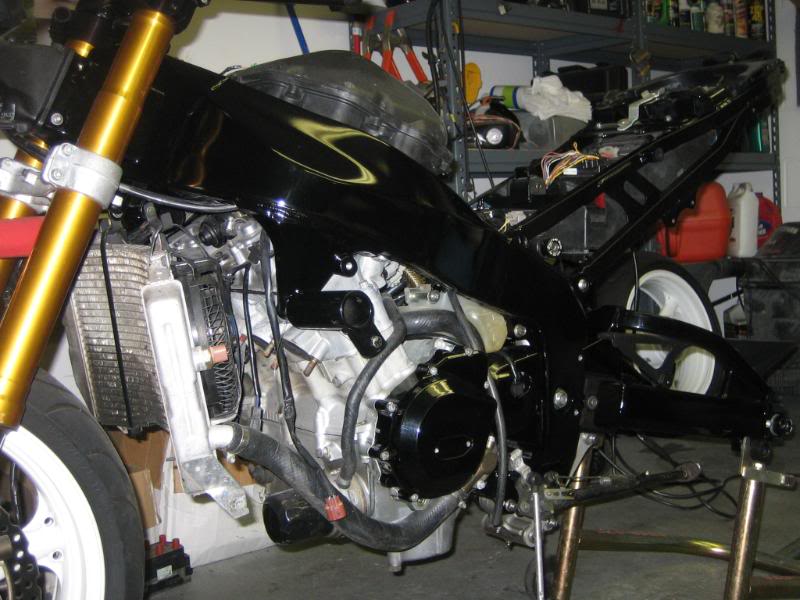 Name:  2009paint003.jpg
Views: 361
Size:  76.3 KB