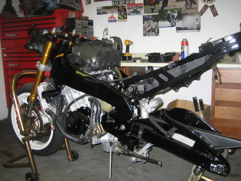 Name:  2009paint001.jpg
Views: 351
Size:  107.0 KB