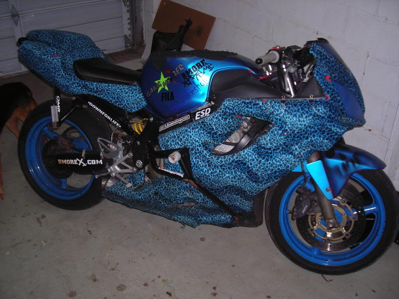 Name:  bikepics001.jpg
Views: 10
Size:  81.0 KB