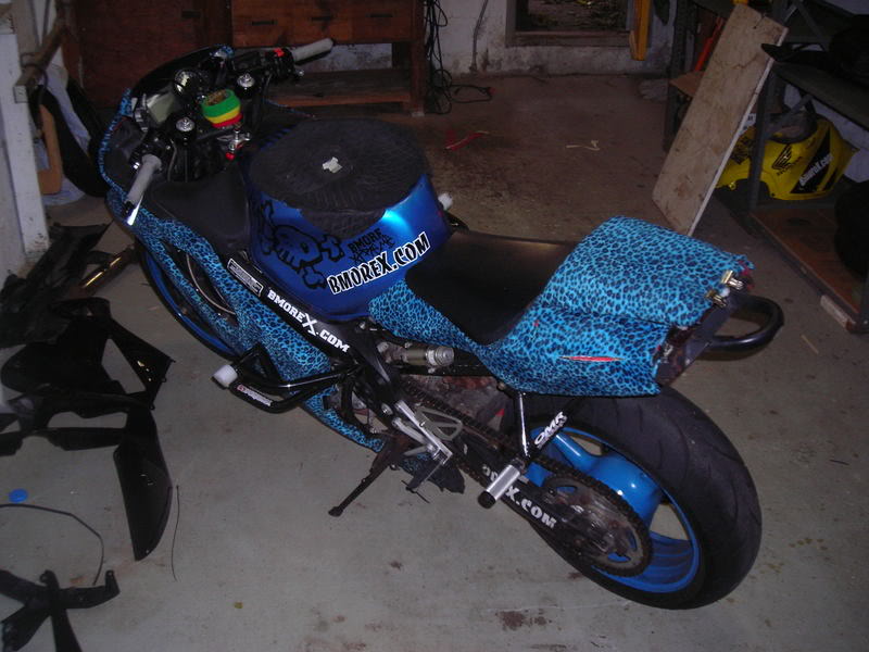 Name:  bikepics003.jpg
Views: 10
Size:  73.1 KB