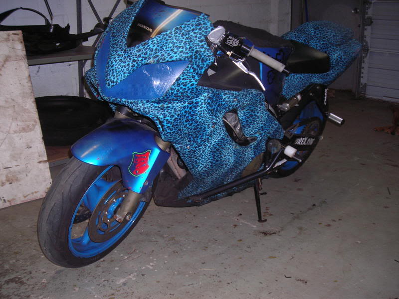 Name:  bikepics007.jpg
Views: 9
Size:  78.3 KB