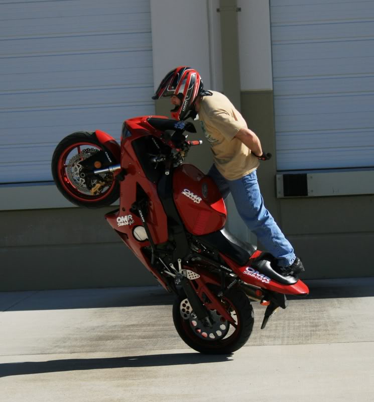 Name:  1-5-09sundayspot024.jpg
Views: 7
Size:  68.2 KB