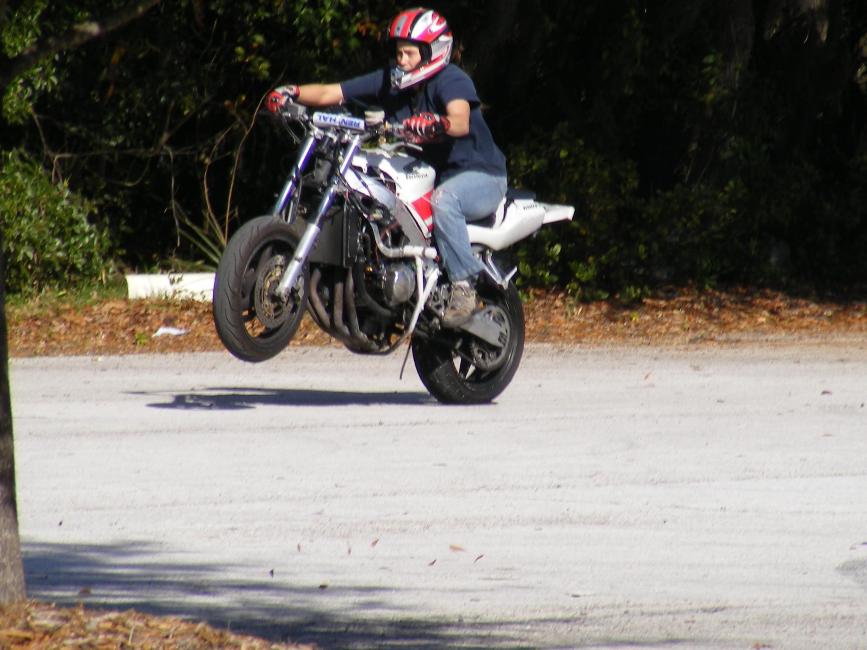 Name:  DSCF2564.jpg
Views: 20
Size:  417.0 KB