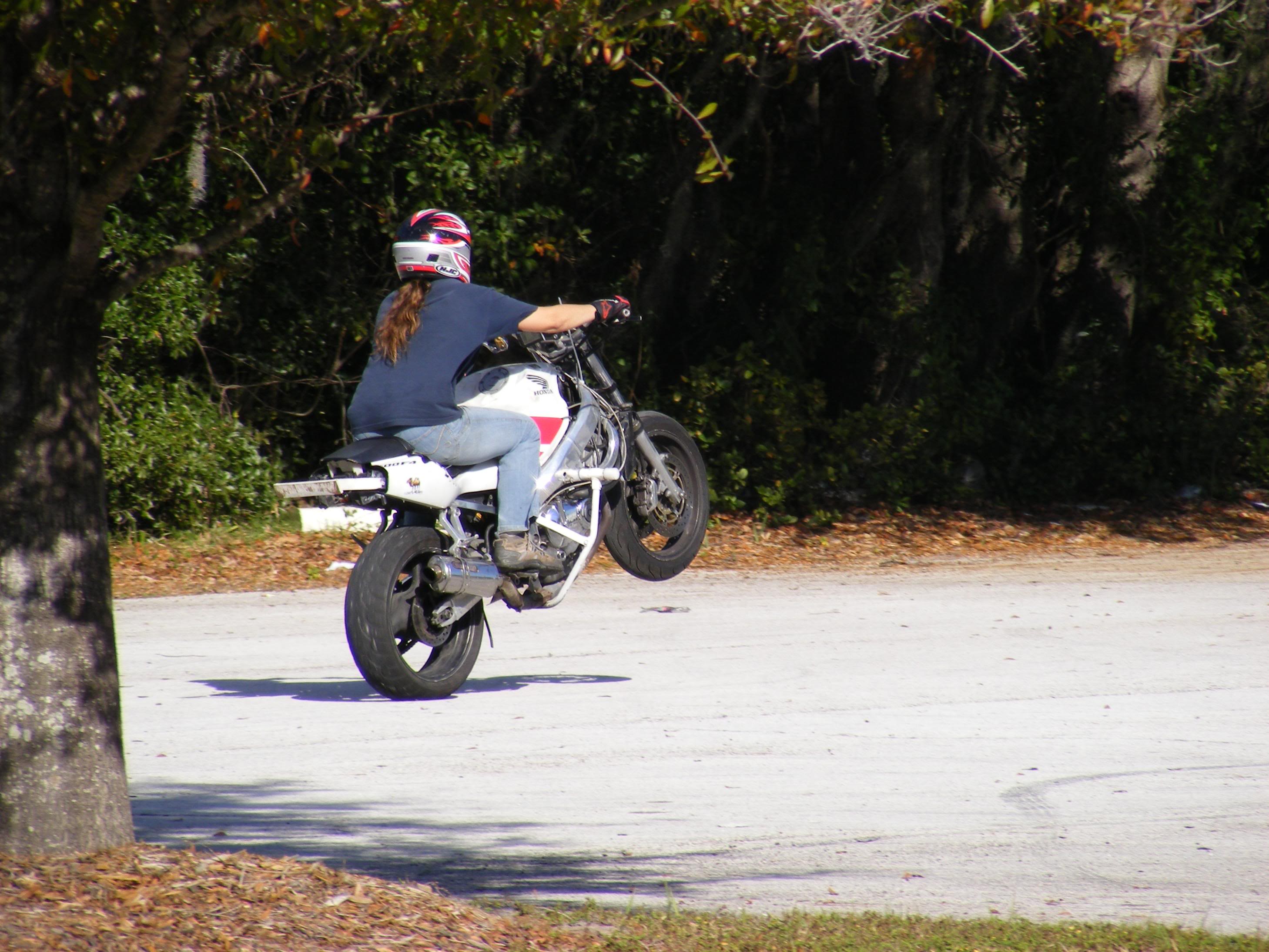 Name:  DSCF2566.jpg
Views: 16
Size:  580.3 KB