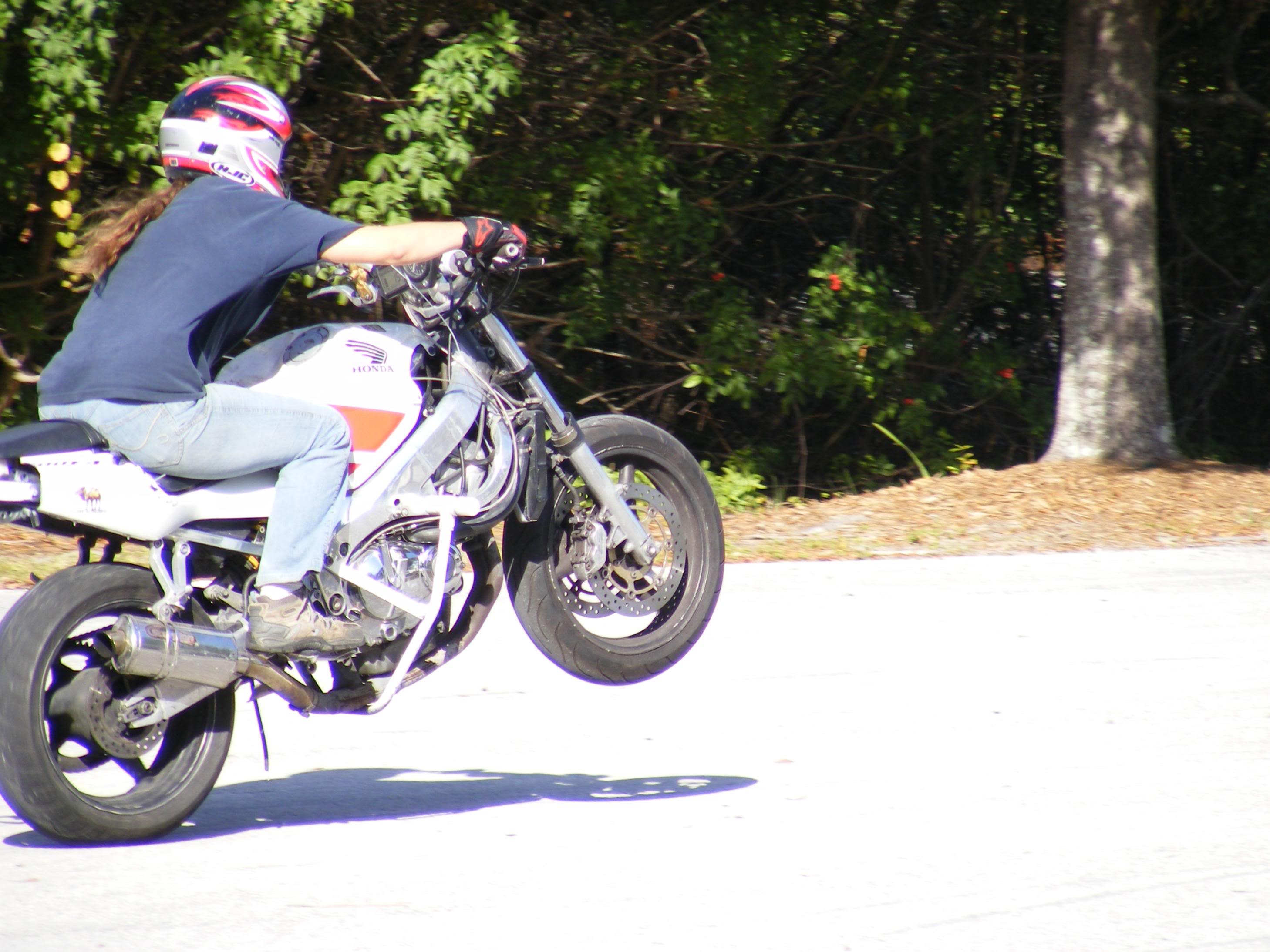 Name:  DSCF2568.jpg
Views: 18
Size:  468.4 KB