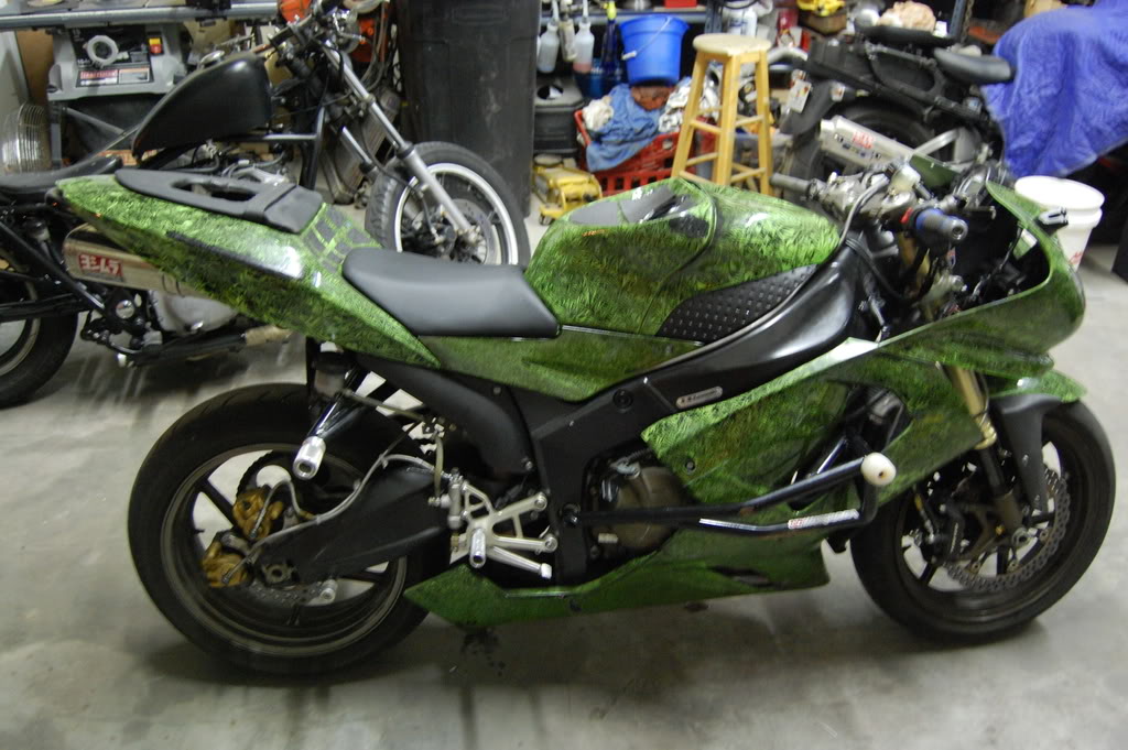 Name:  DSC_0181.jpg
Views: 8
Size:  158.9 KB