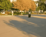 Name:  output.gif
Views: 9
Size:  1.45 MB