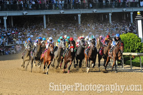Name:  derbyhorses.jpg
Views: 12
Size:  78.0 KB