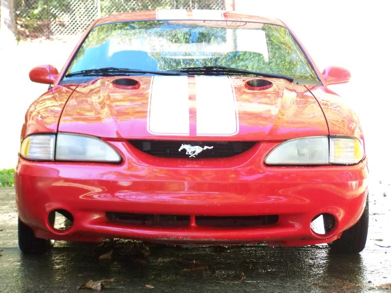 Name:  Picture025.jpg
Views: 6
Size:  97.8 KB