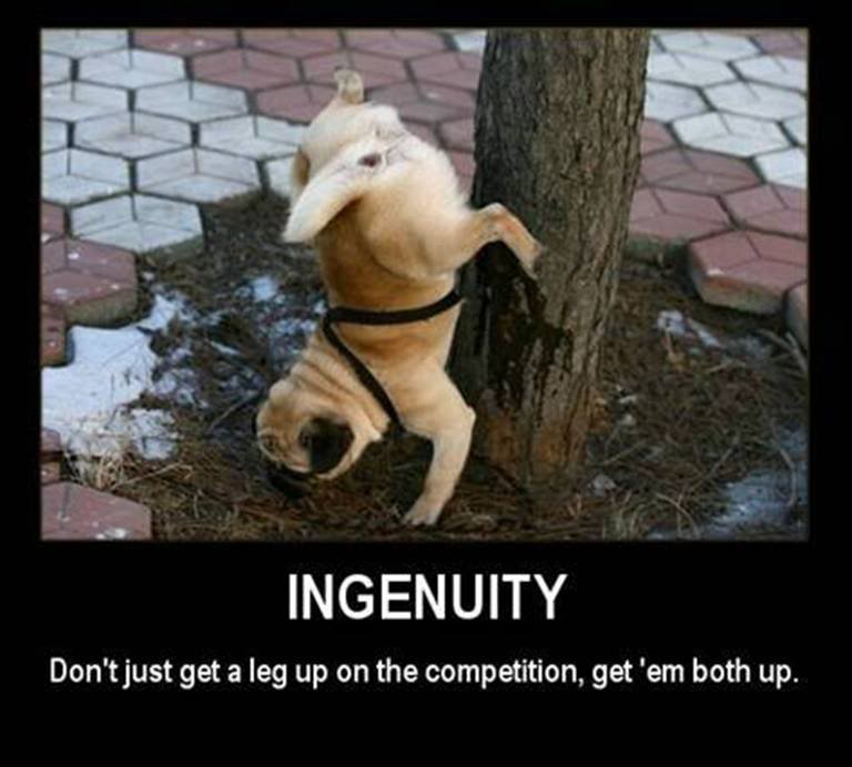 Name:  image004.jpg
Views: 9
Size:  51.8 KB