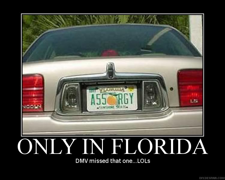 Name:  poster64948255.jpg
Views: 8
Size:  53.2 KB