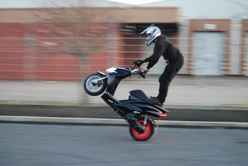 Name:  DSC_0072-1.jpg
Views: 124
Size:  70.0 KB