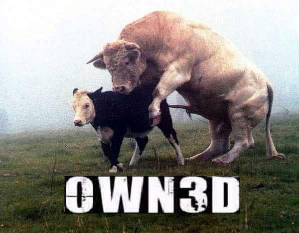 Name:  owned-goblinking.jpg
Views: 43
Size:  39.8 KB