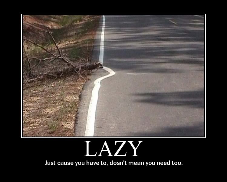 Name:  lazy.jpg
Views: 38
Size:  54.6 KB