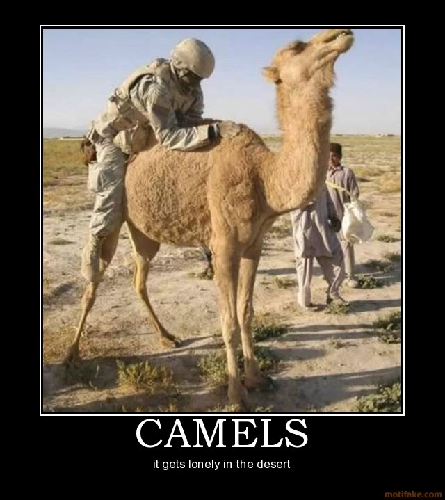 Name:  d5228233ab.jpg
Views: 96
Size:  66.8 KB