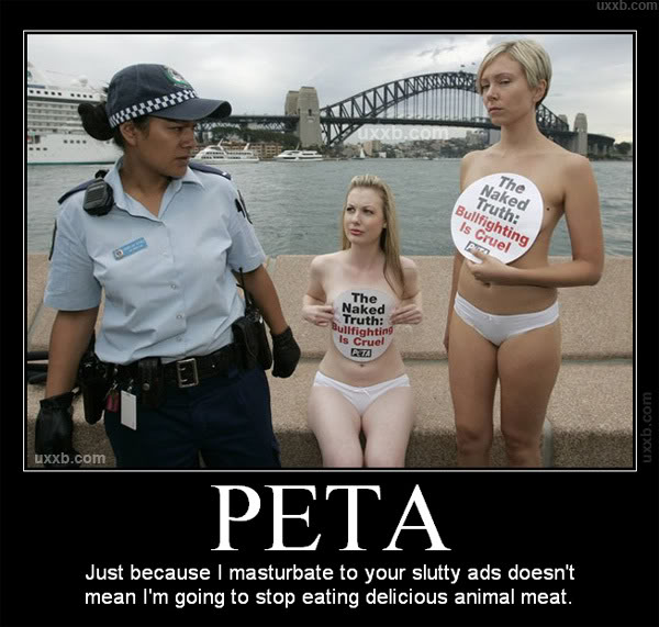 Name:  5162008123057PM_805.jpg
Views: 61
Size:  67.9 KB