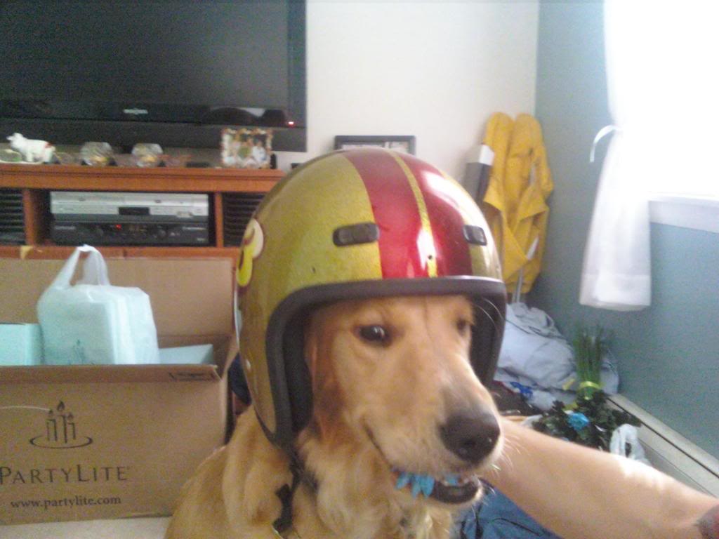 Name:  0824080935a.jpg
Views: 61
Size:  72.6 KB