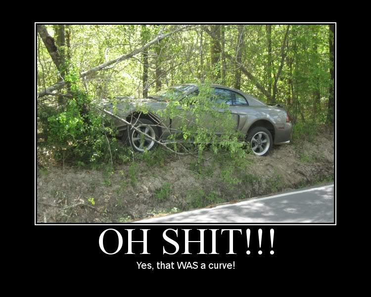 Name:  mustanginwoods.jpg
Views: 59
Size:  102.1 KB