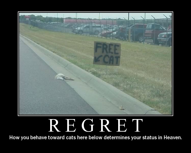 Name:  regret.jpg
Views: 53
Size:  53.1 KB