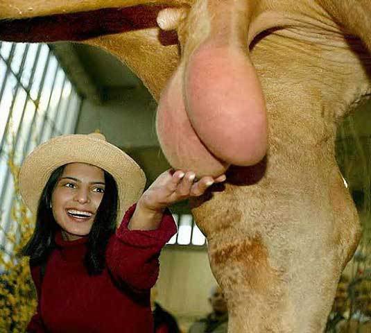 Name:  10247c81.jpg
Views: 48
Size:  40.0 KB