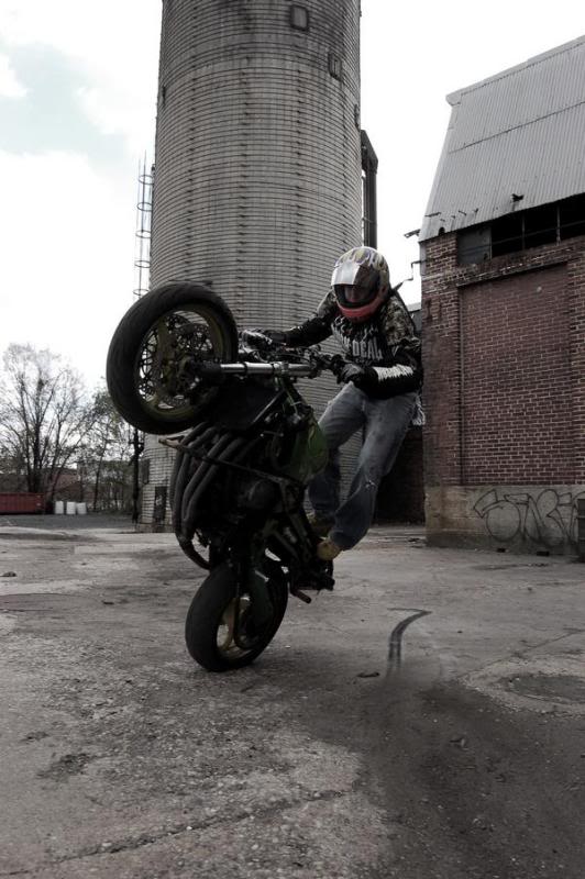 Name:  turtlesilo.jpg
Views: 78
Size:  67.9 KB