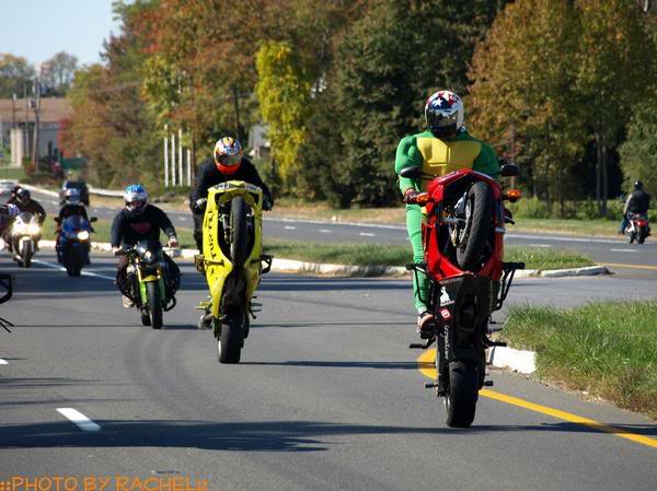 Name:  turtleandgil.jpg
Views: 56
Size:  52.7 KB