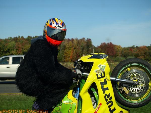 Name:  turtlefrogstare.jpg
Views: 81
Size:  41.3 KB