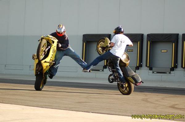 Name:  turtlejflcircles.jpg
Views: 46
Size:  29.6 KB