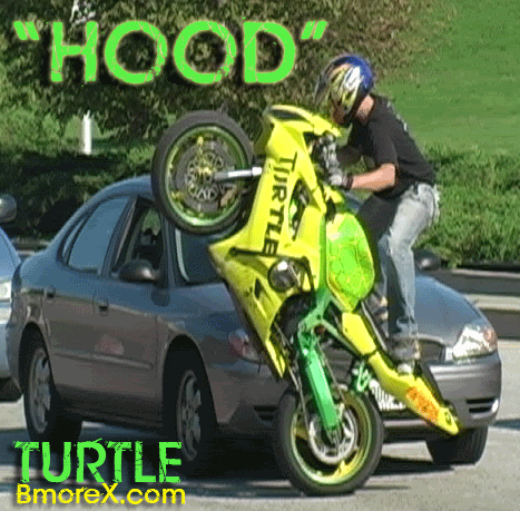 Name:  turtle-hood.gif
Views: 69
Size:  137.4 KB