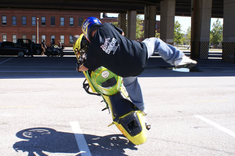 Name:  turtleblindsidecitycircle.jpg
Views: 75
Size:  80.6 KB