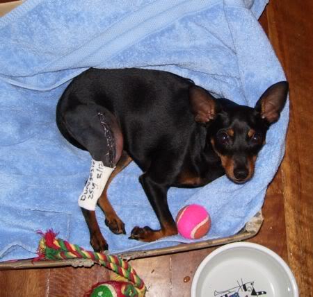 Name:  100_0835a.jpg
Views: 7
Size:  41.1 KB