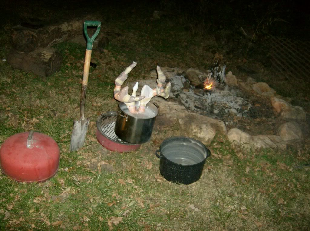 Name:  HPIM5175.jpg
Views: 8
Size:  143.0 KB