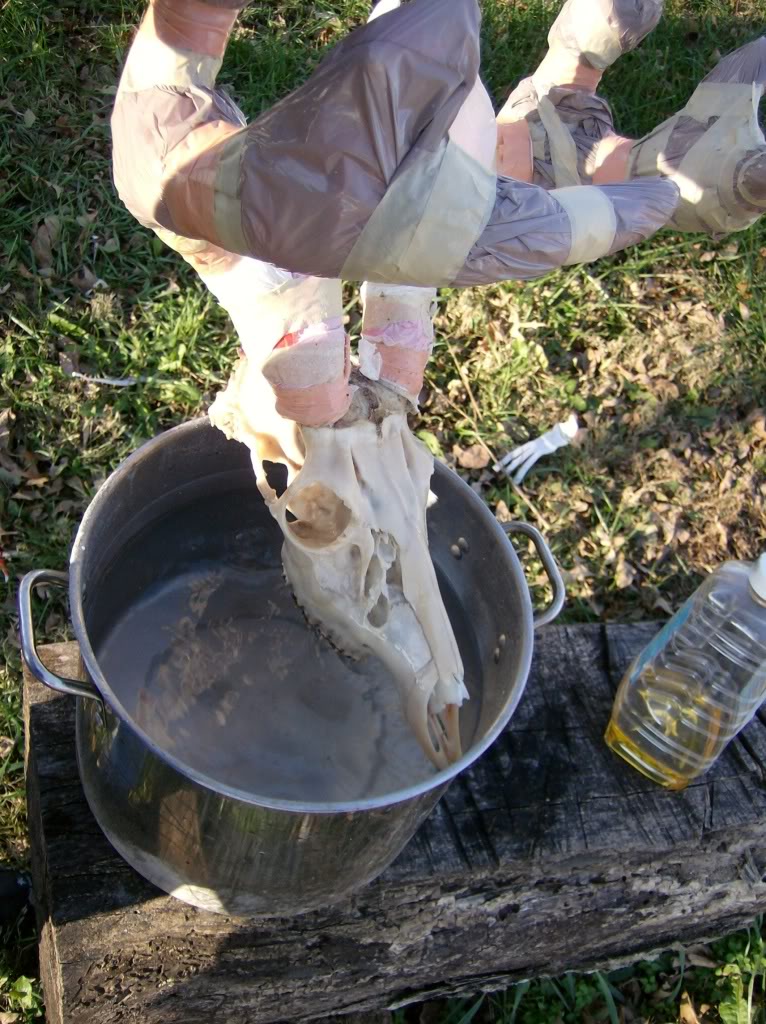 Name:  HPIM5182.jpg
Views: 13
Size:  174.2 KB