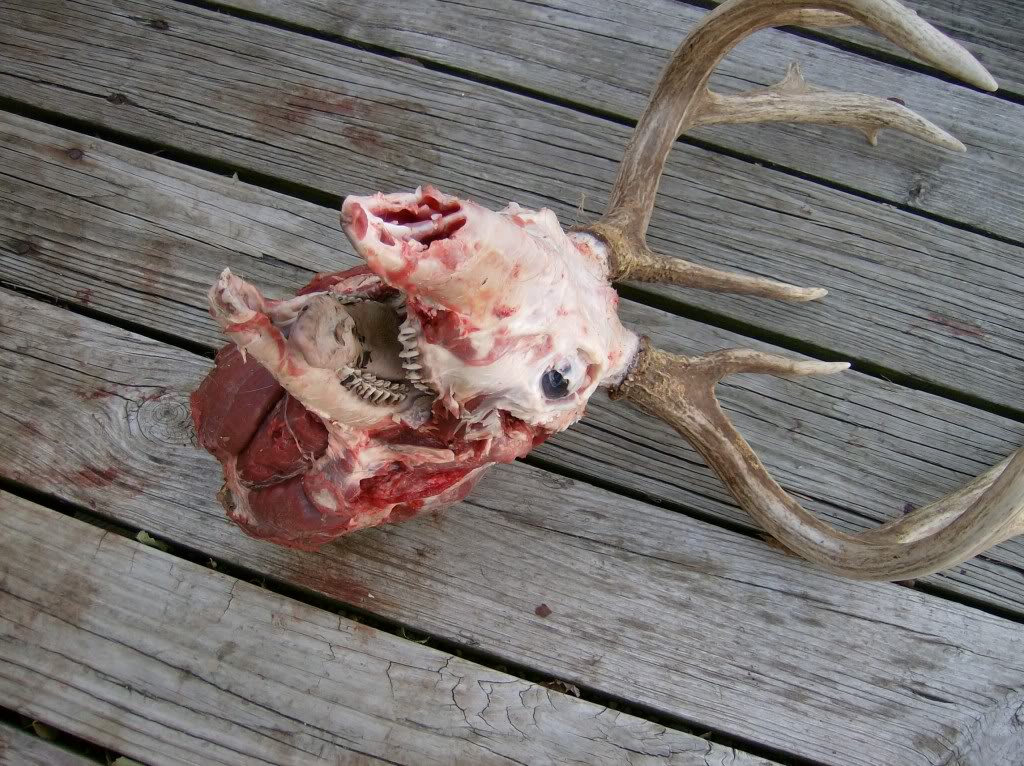 Name:  HPIM5168.jpg
Views: 10
Size:  189.4 KB