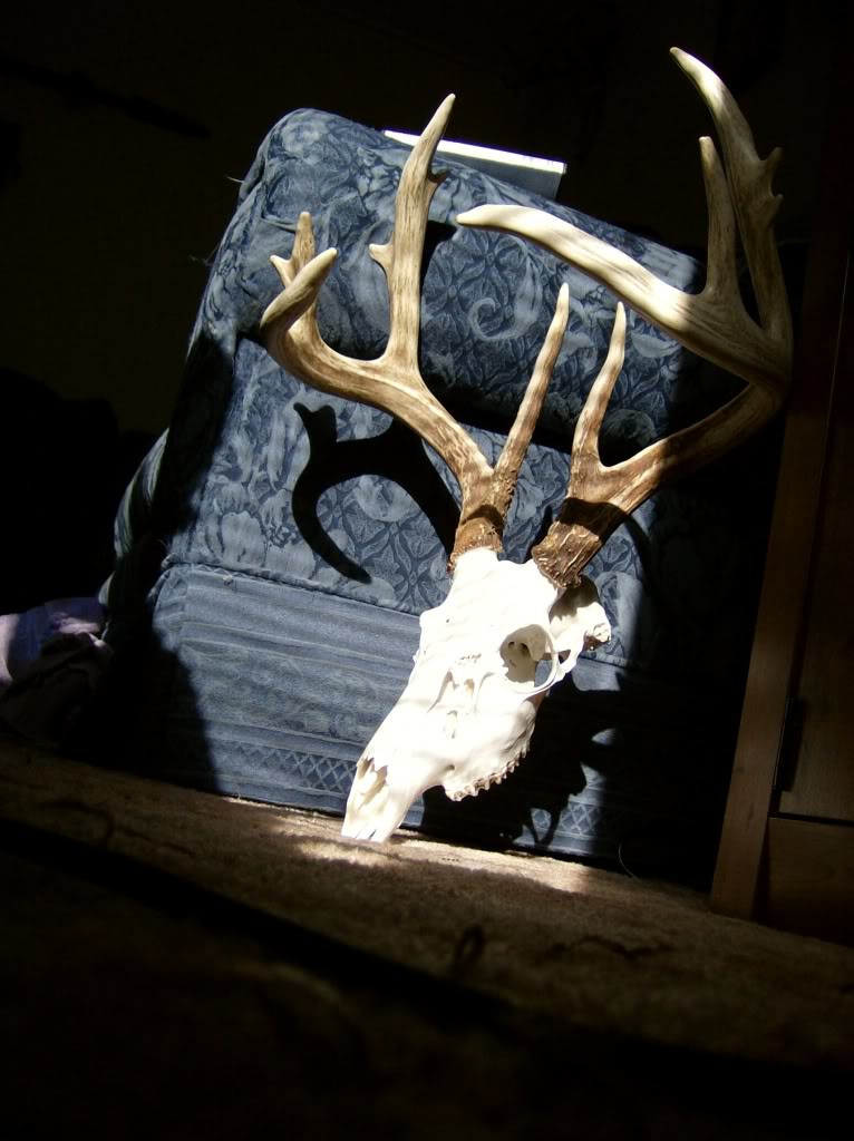 Name:  HPIM5197.jpg
Views: 14
Size:  99.6 KB