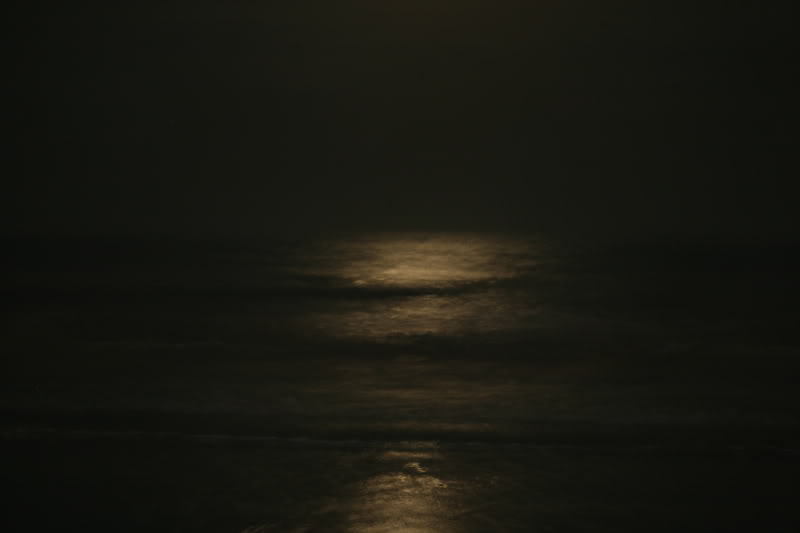 Name:  shuttle004.jpg
Views: 11
Size:  17.8 KB
