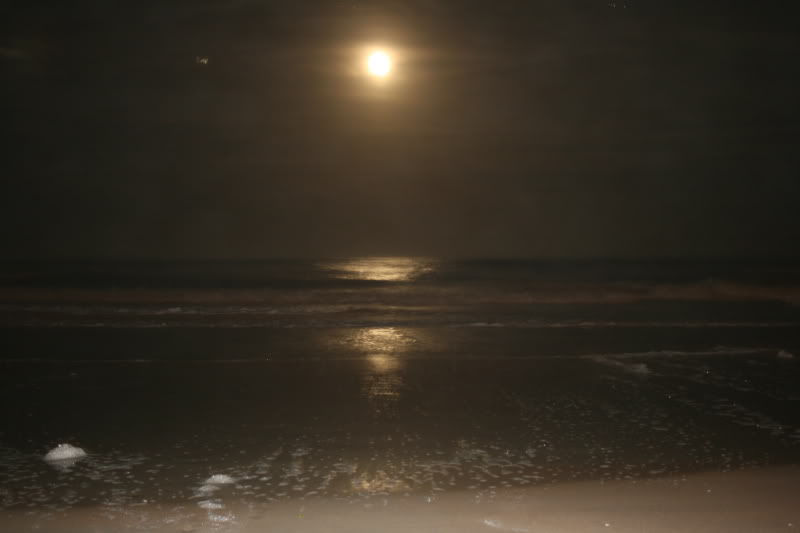 Name:  shuttle005.jpg
Views: 8
Size:  27.7 KB