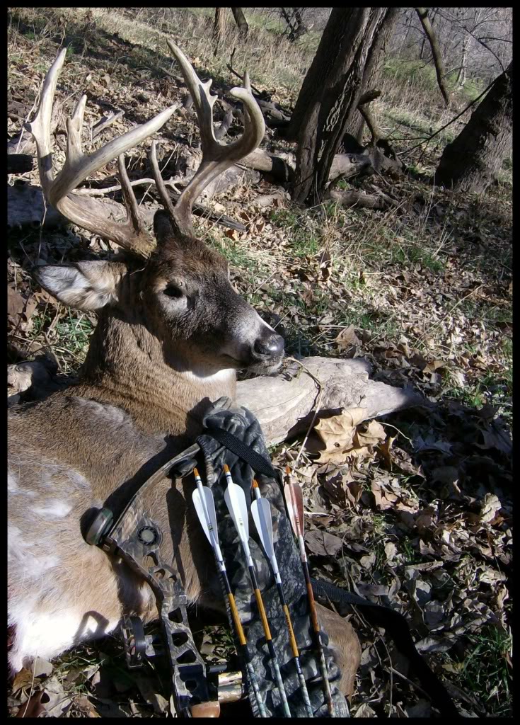 Name:  HPIM5120.jpg
Views: 10
Size:  272.0 KB