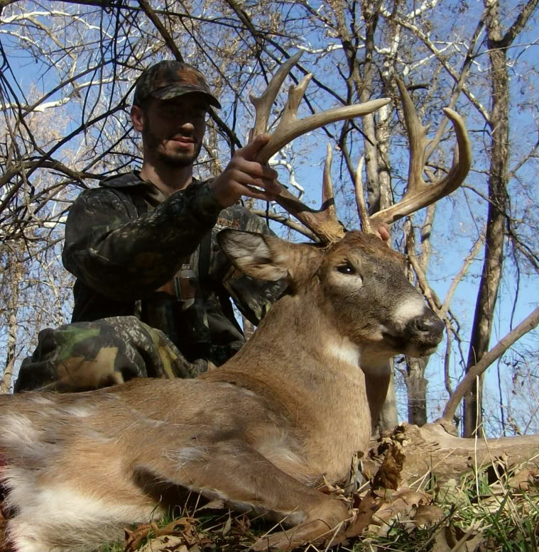 Name:  buck082-1.jpg
Views: 10
Size:  195.7 KB