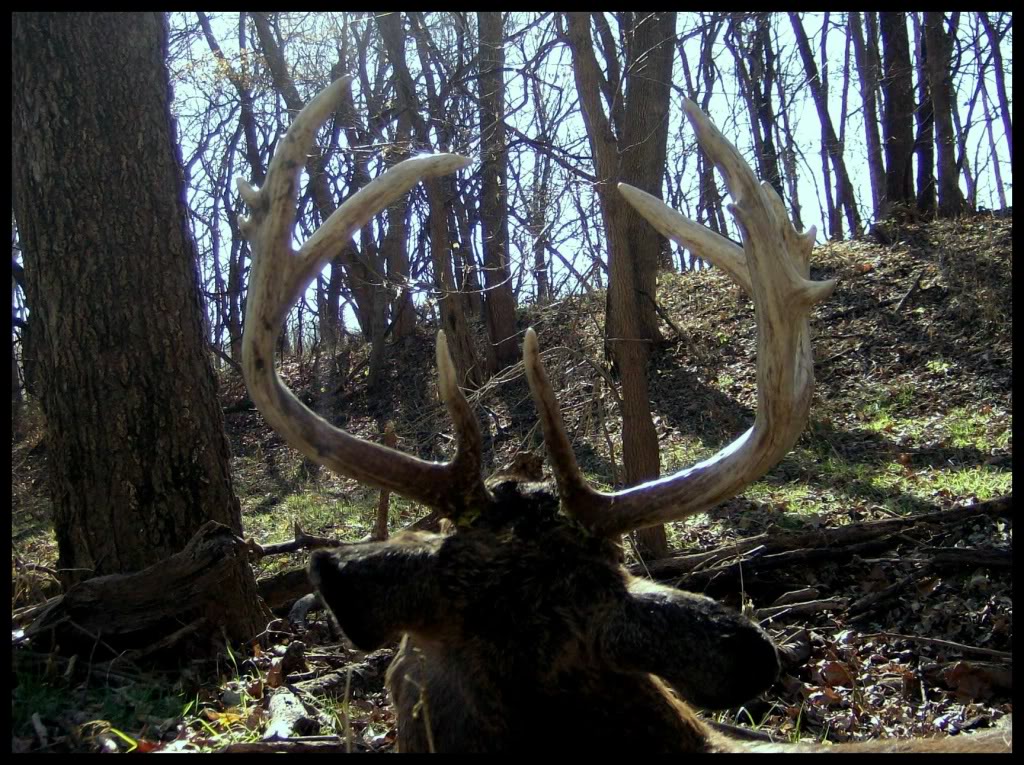 Name:  hpim51242.jpg
Views: 12
Size:  238.3 KB