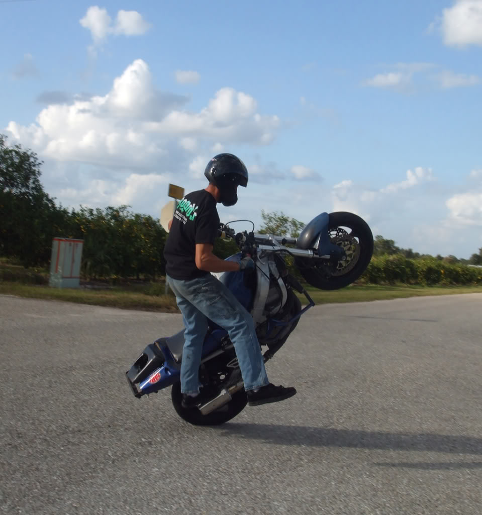 Name:  RLresize.jpg
Views: 7
Size:  117.5 KB