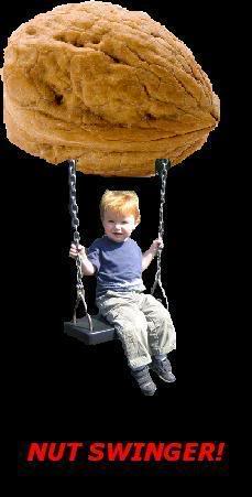 Name:  NutSwinger.jpg
Views: 11
Size:  15.9 KB