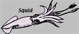 Name:  thumbnailCAFTK1P8.jpg
Views: 15
Size:  2.5 KB